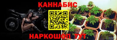 ПСИЛОЦИБИНОВЫЕ ГРИБЫ Новокубанск