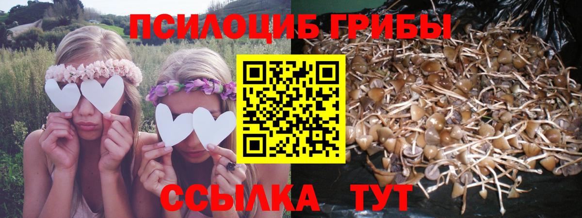 Заринск  Псилоцибиновые грибы мицелий  Вход с VPN 