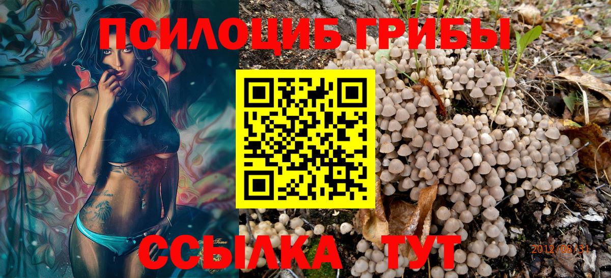 Псилоцибиновые грибы прущие грибы Заринск